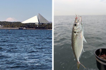 f7185a4b6c171f5c04c729b3758dafb8-1772679609.jpg f7185a4b6c171f5c04c729b3758dafb8-1772679609.jpg