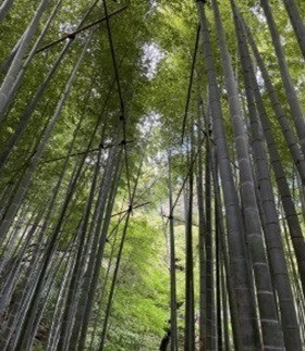 清秋の候