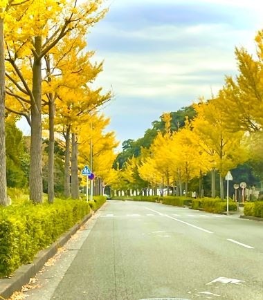 紅葉の候