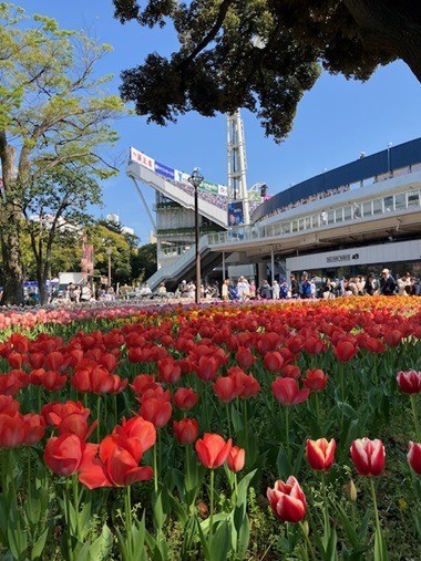 桜端の候