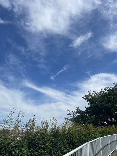 夏至の候