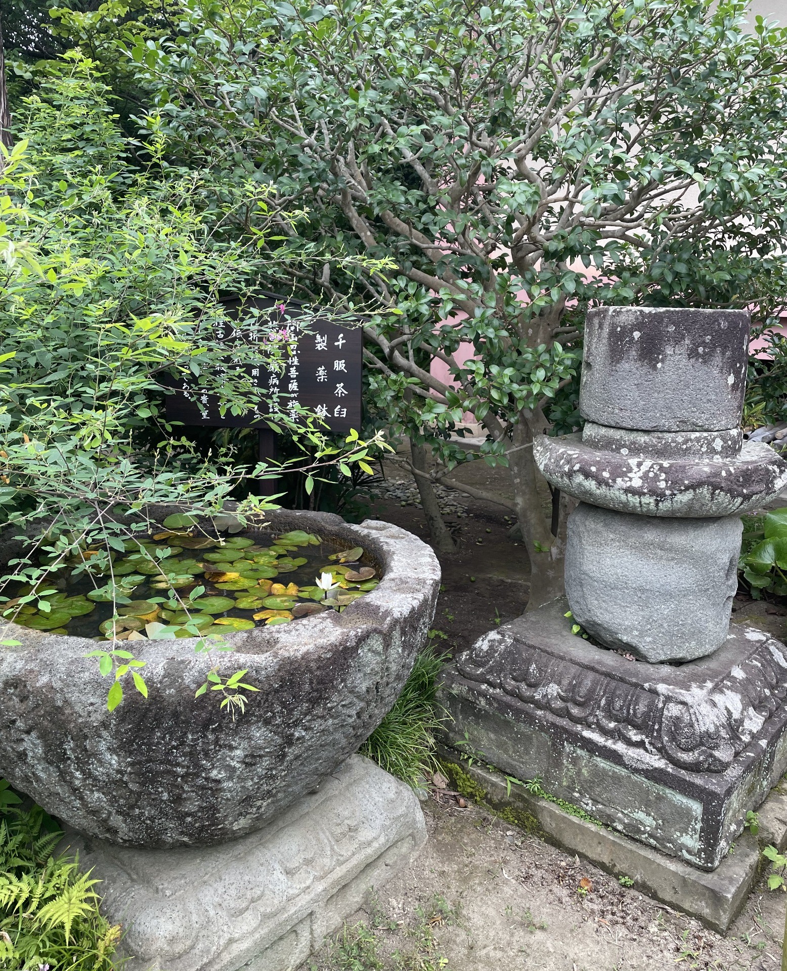極楽寺